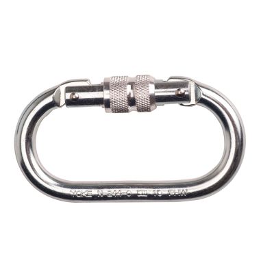 FP30 Screwgate Carabiner Silver  