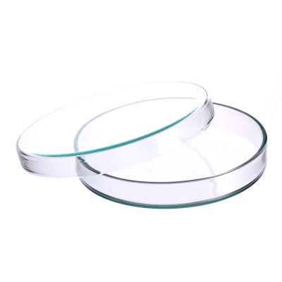 PETRI DISHES CLEAR CRYSTAL GLASS 90MM