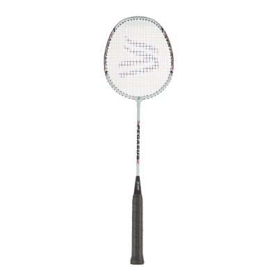 DAVIES PEGASUS BADMINTON RACKET