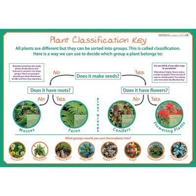 CLASSIFYING PLANTS POSTER