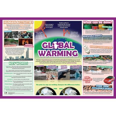 GLOBAL WARMING POSTER