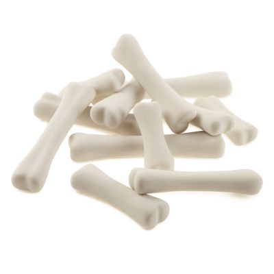 DINOSAUR BONES DISCOVERY SET