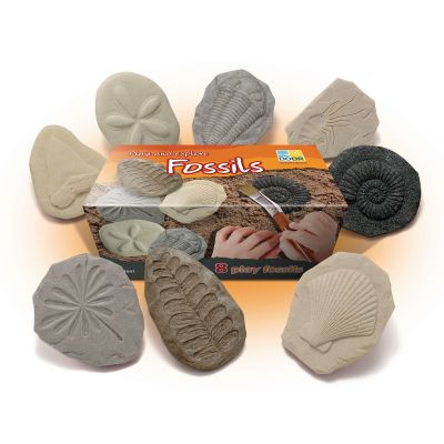 PLAY AND EXPLORE FOSSILS