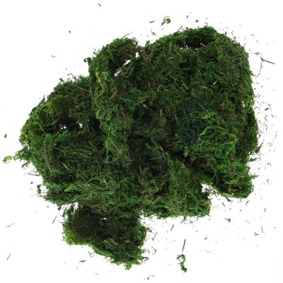 GREEN MOSS IN A BAG 100G