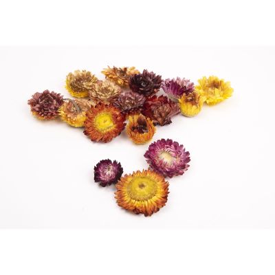 DRIED FLOWER HEADS (75G)