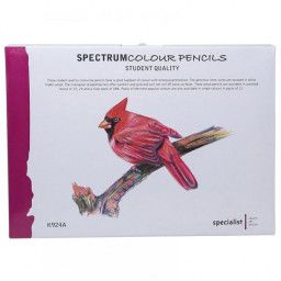 SPECTRUM COLOURING PENCILS CLASS PK288