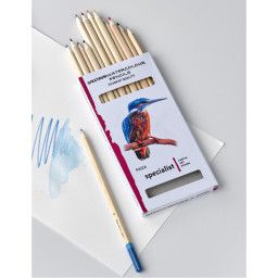 SPECTRUM WATERCOLOUR PENCILS SET OF 12