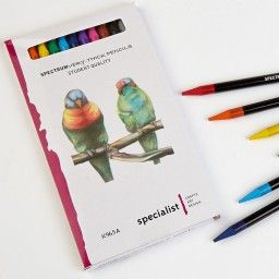 SPECTRUM VERY THICK PENCILS SET12 ASRTD