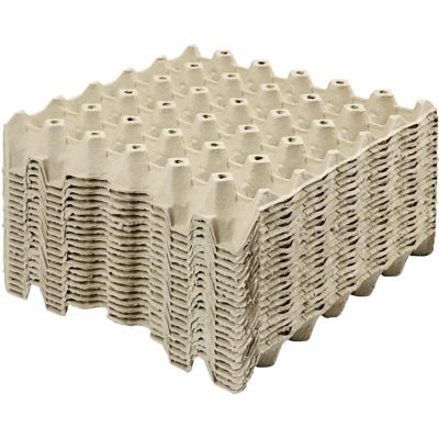 EGG TRAYS 29X29X4 PACK OF 20