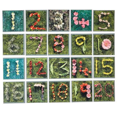 NATURE SP SUM NUMBER TILES