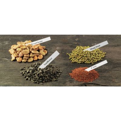 BUMPER SEEDS PACK