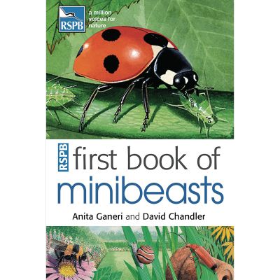 FIRST BOOK OF MINIBEASTS