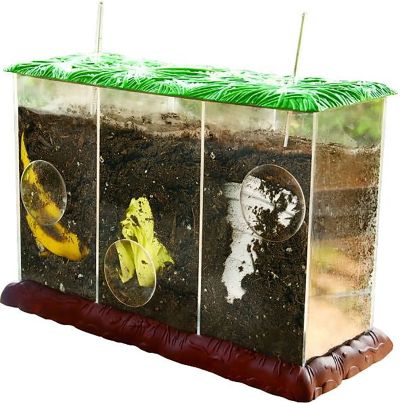 SEE-THROUGH COMPOST CONTAINERS