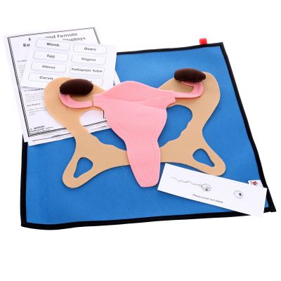 FEMALE REPRODUCTIVE DISPLAY