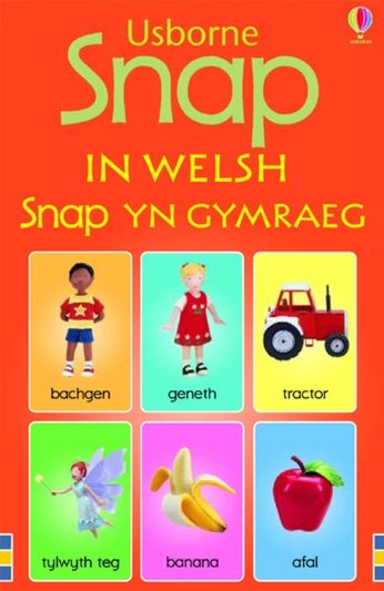 USBORNE WELSH SNAP CARDS