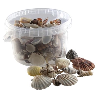 MIXED SHELLS 2.5L TUB