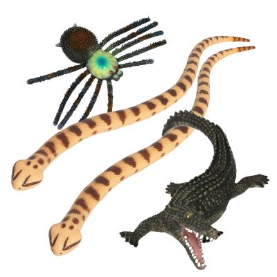 JUMBO REPTILES AND ARACHNID