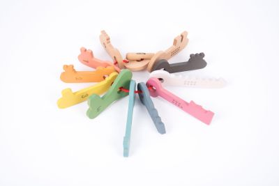 RAINBOW KEYS - PACK OF 11