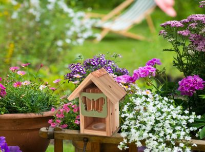 BUTTERFLY BARN