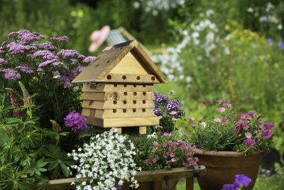 INTERACTIVE SOLITARY BEE HIVE