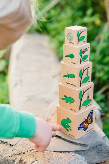 LIFE CYCLE WOODEN BLOCKS