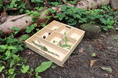 WOODEN SORTING TRAY - 7 WAY