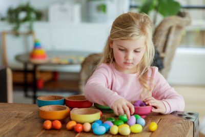 RAINBOW NESTS