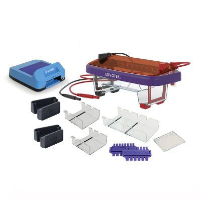 M12 ULTRA ELECTROPHORESIS  VISUALIZATIO