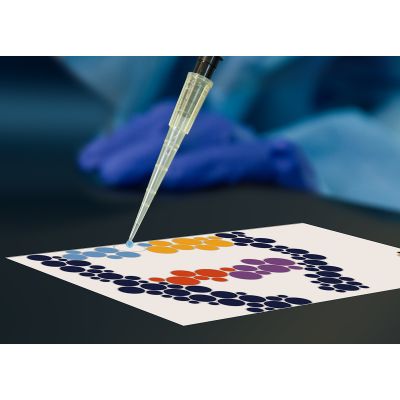 PIPETTING BY NUMBERS STEAM PIPETTING