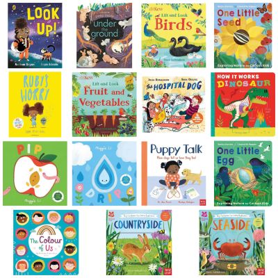 BRILLIANT BOARD BOOKS FOR 2-4 YEAR OLDS