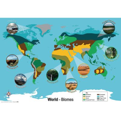 WORLD BIOMES MAP