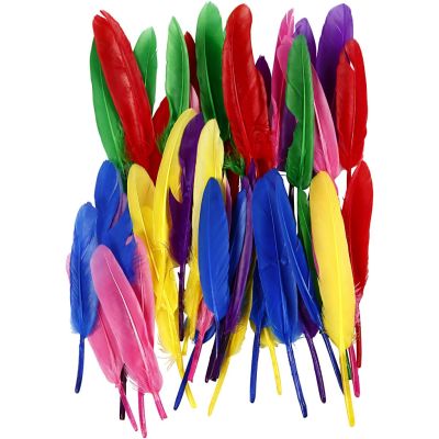 COLOURED FEATHERS - 13CM - PACK OF 48