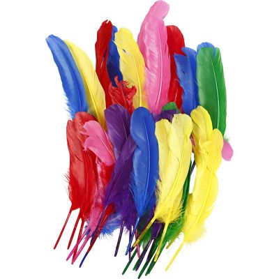 COLOURED FEATHERS - 20CM - PACK OF 36