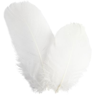 WHITE GOOSE FEATHERS - 3G