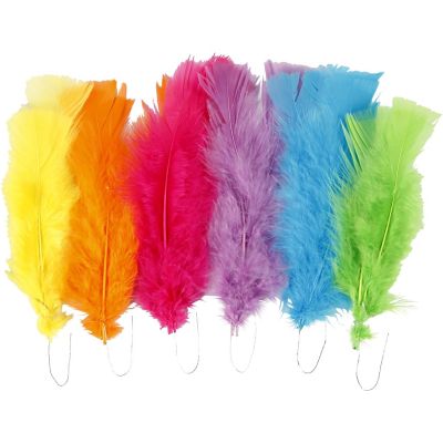 BRIGHT COLOURED FEATHERS - PACK OF 18