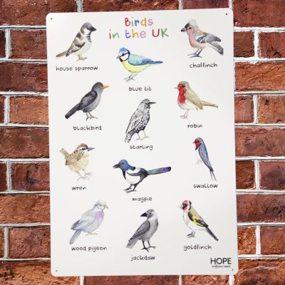 UK BIRDS OUTDOOR SIGN