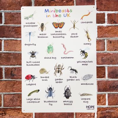 UK MINIBEASTS OUTDOOR SIGN