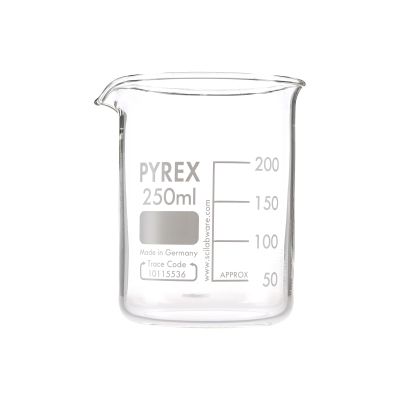 PYREX GLASS BEAKER SQUAT FORM 250MLP10