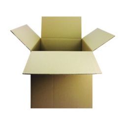 DOUBLE WALL 457X305X305MM CARTONS